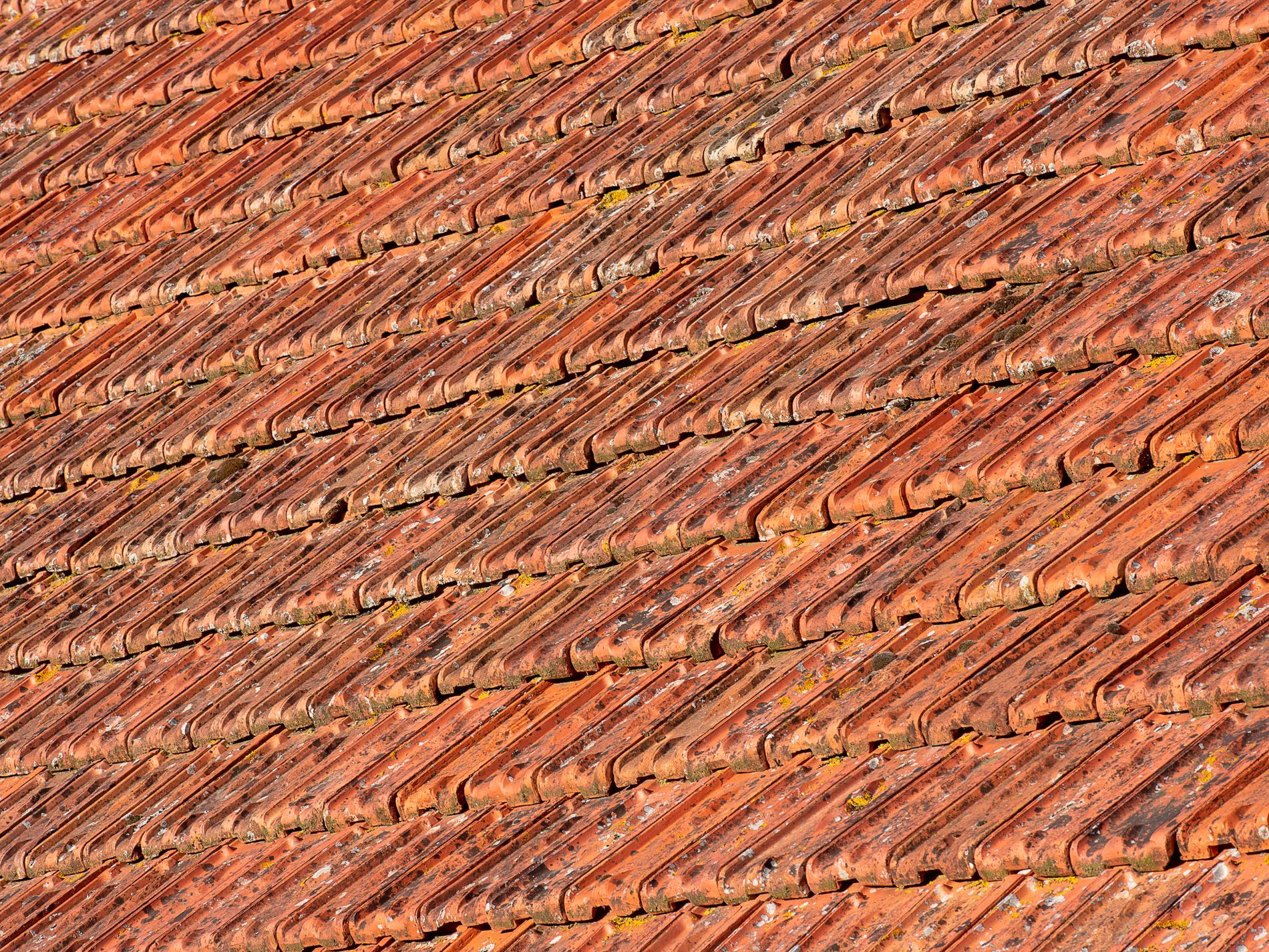 Close-up of weathered terracotta roof tiles in sunlight.